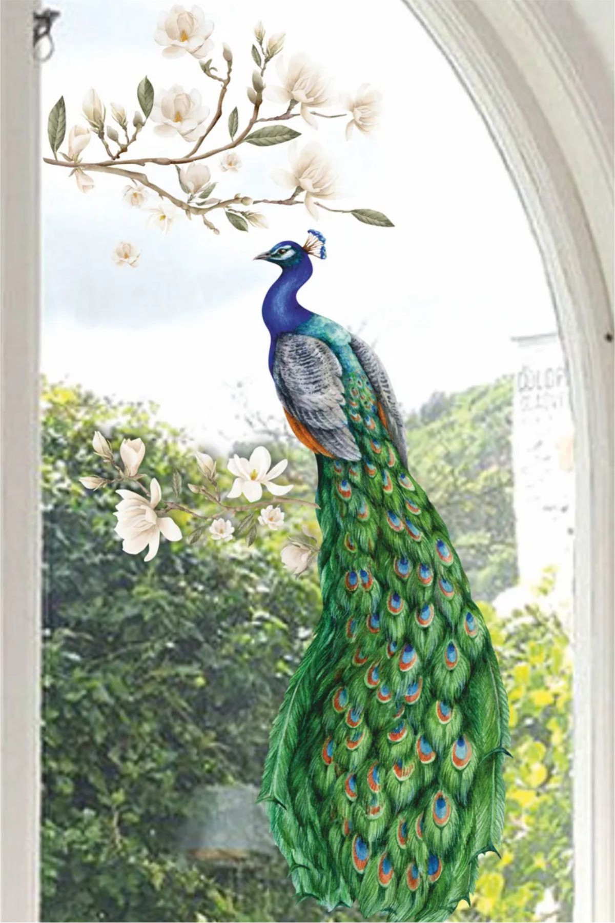 Çiçekli Renkli Tavus Kuşu Duvar ve Cam Sticker 50x100 cm