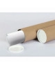 PAPATYA RÜYASI STİCKER
