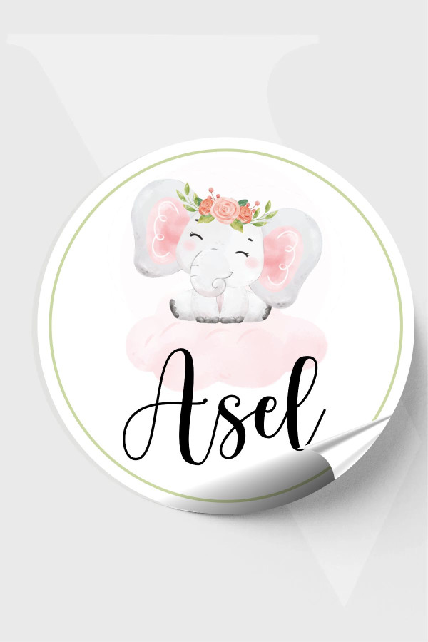 İsimli Bebek Etiketi- Doğum günü Etiketi 4x4 cm 96 Adet - Filli Desen