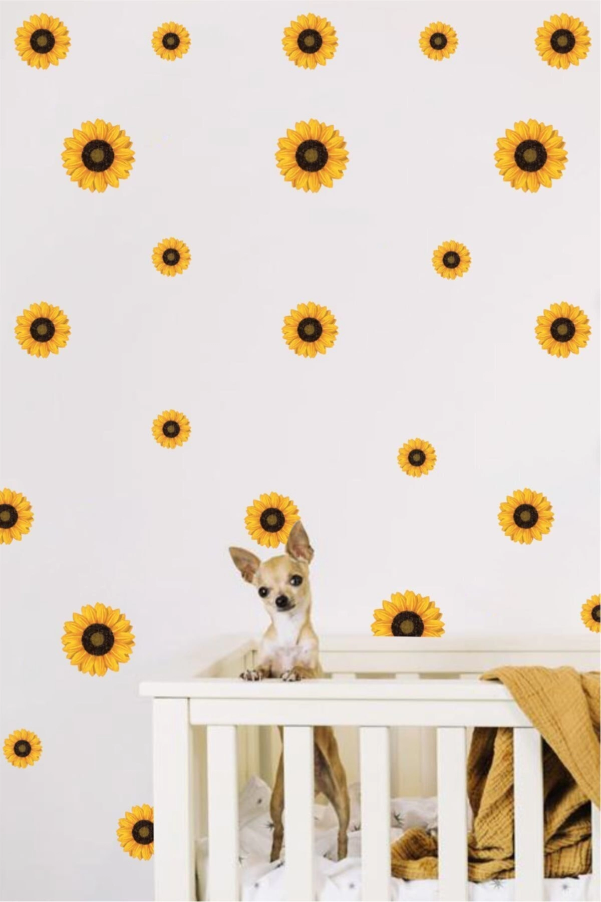 Ayçiçeği Duvar Stickerı