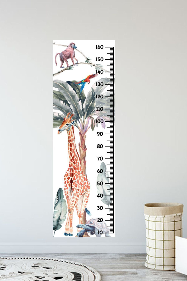 Amazon Hayvanlar Boy Ölçer Sticker