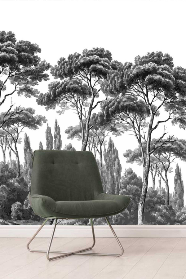 Afrika Akasya Ağaçları Duvar Kaplama Folyosu Afrika Akasya Ağaçları Duvar Kaplama Folyosu