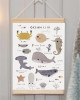 Ocean Life Askılı Kanvas Poster