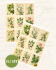 Botanical Sticker Seti 2'li