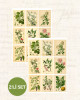 Botanical Sticker Seti 2'li