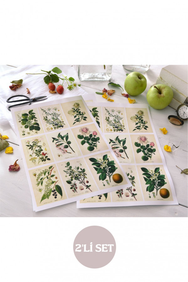 Botanical Sticker Seti 2'li