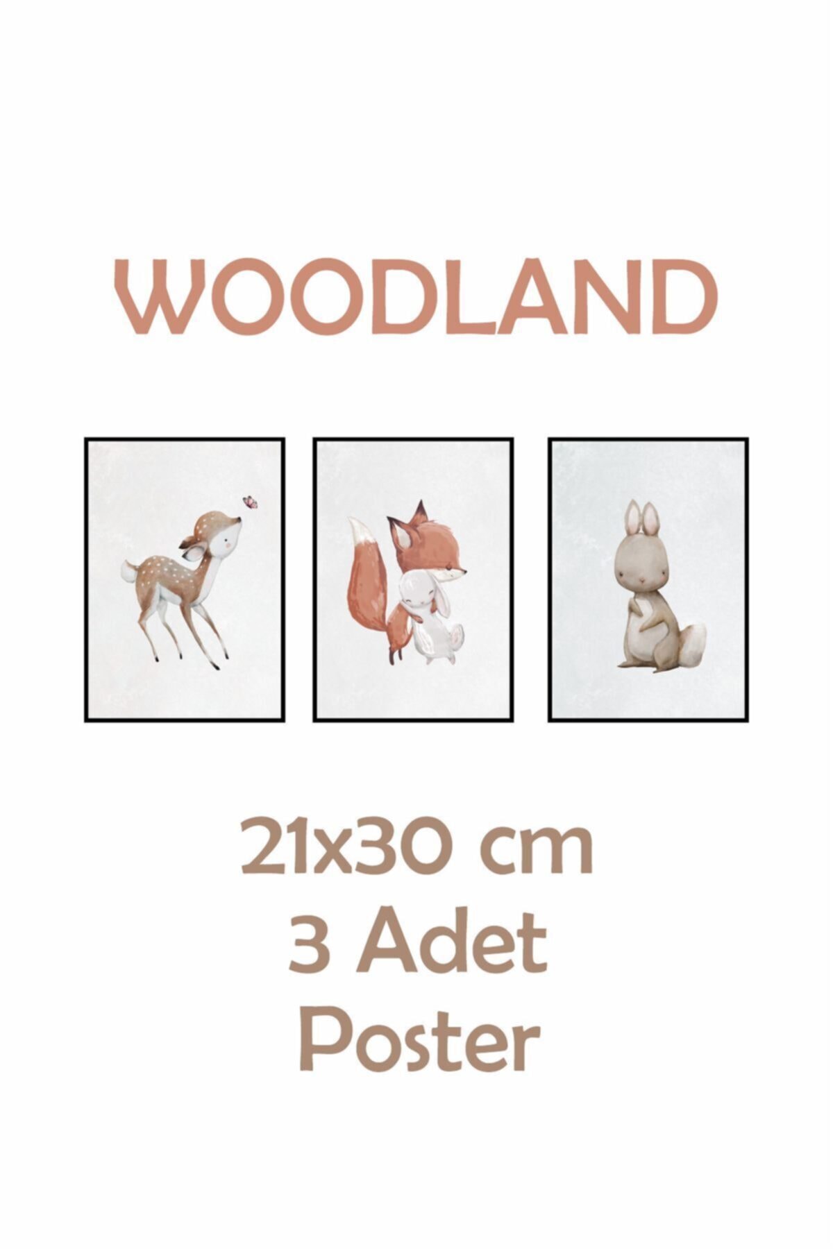 Woodland Yapışkanlı Poster Seti