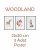 Woodland Yapışkanlı Poster Seti