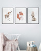 Woodland Yapışkanlı Poster Seti