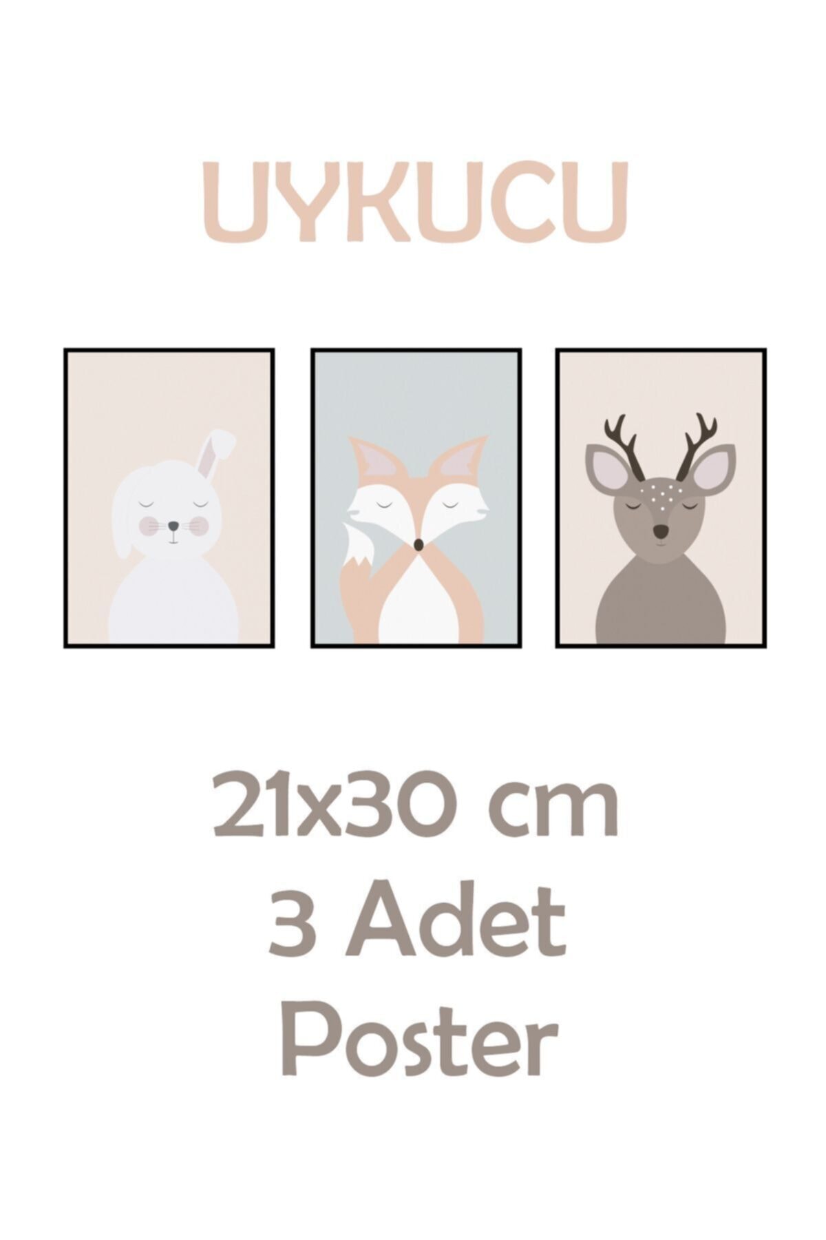 Uykucu Hayvanlar Yapışkanlı Poster Seti