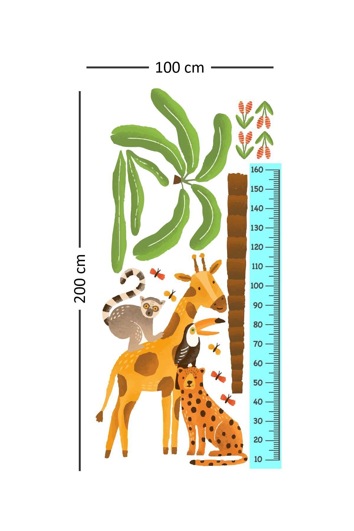 Cute Safari Boy Ölçer Sticker