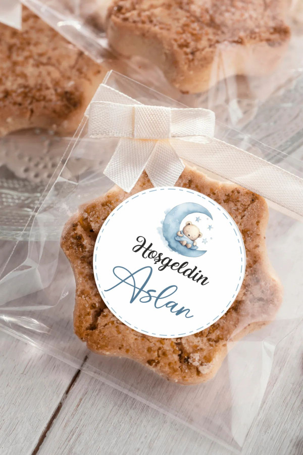 Ayda Ayıcık Bebek Etiketi, Baby Shower, Doğum günü, Hoşgeldin Etiketi 4x4 cm 96 Adet