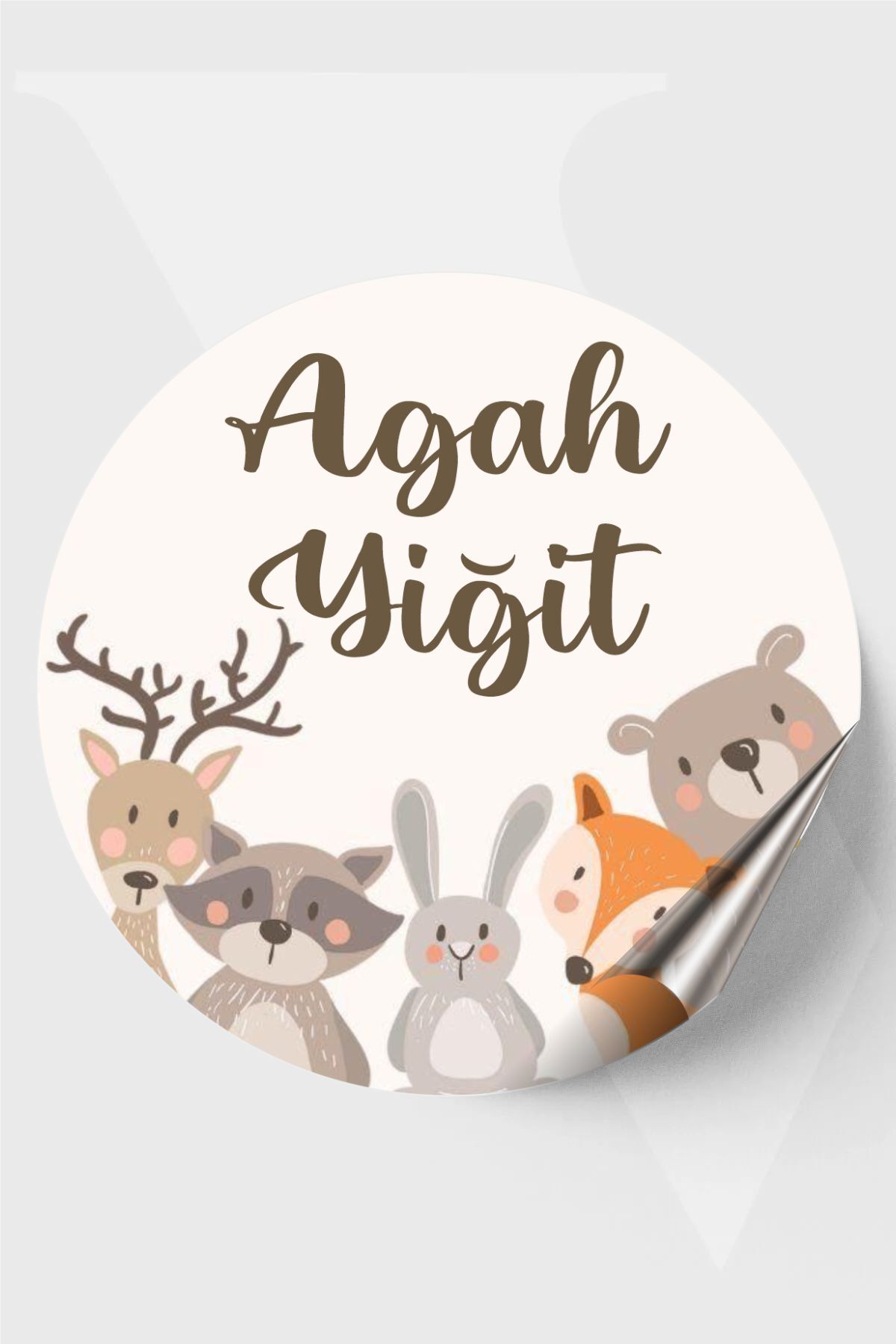 Hayvanlar Temalı İsimli Bebek Etiketi- Doğum günü Etiketi 4x4 cm 96 Adet