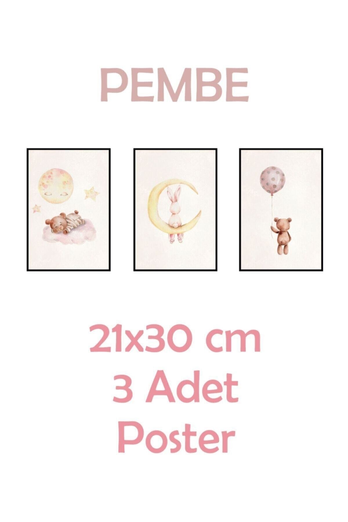 Pembe Yapışkanlı Poster Seti